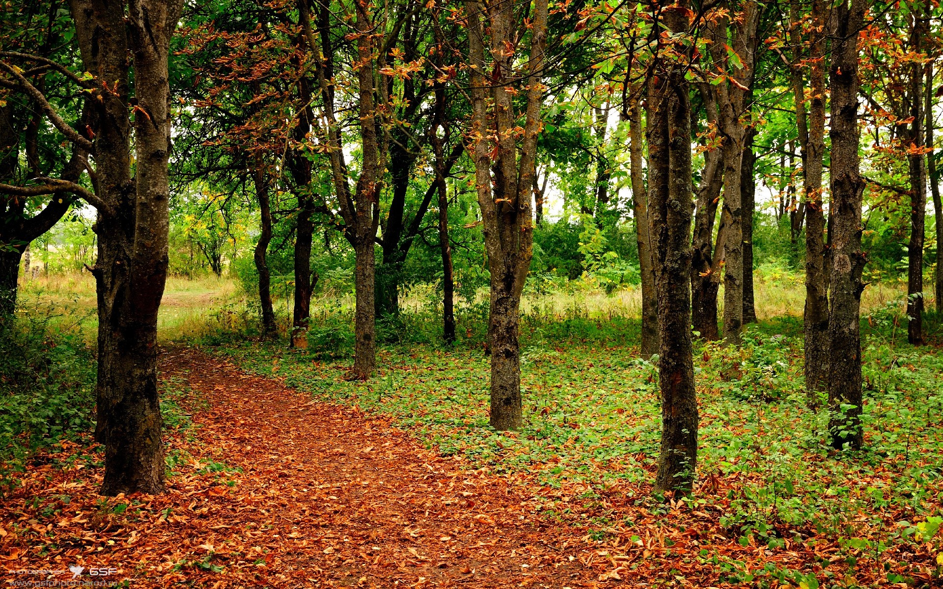 kaiyun xiazai-赞比亚男篮在非洲预赛中奋勇争先，体育竞技迈向新高峰，赞比亚足球厉害吗