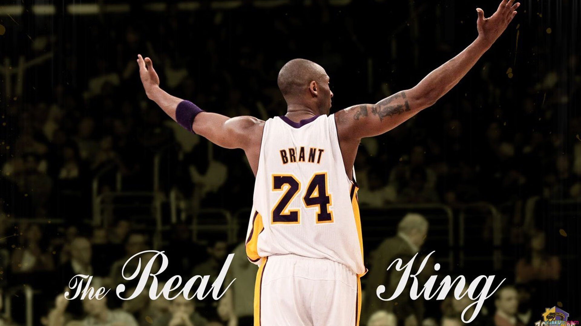 _海底水上漫步：探索海底奇观的运动体验_，海底景观视频