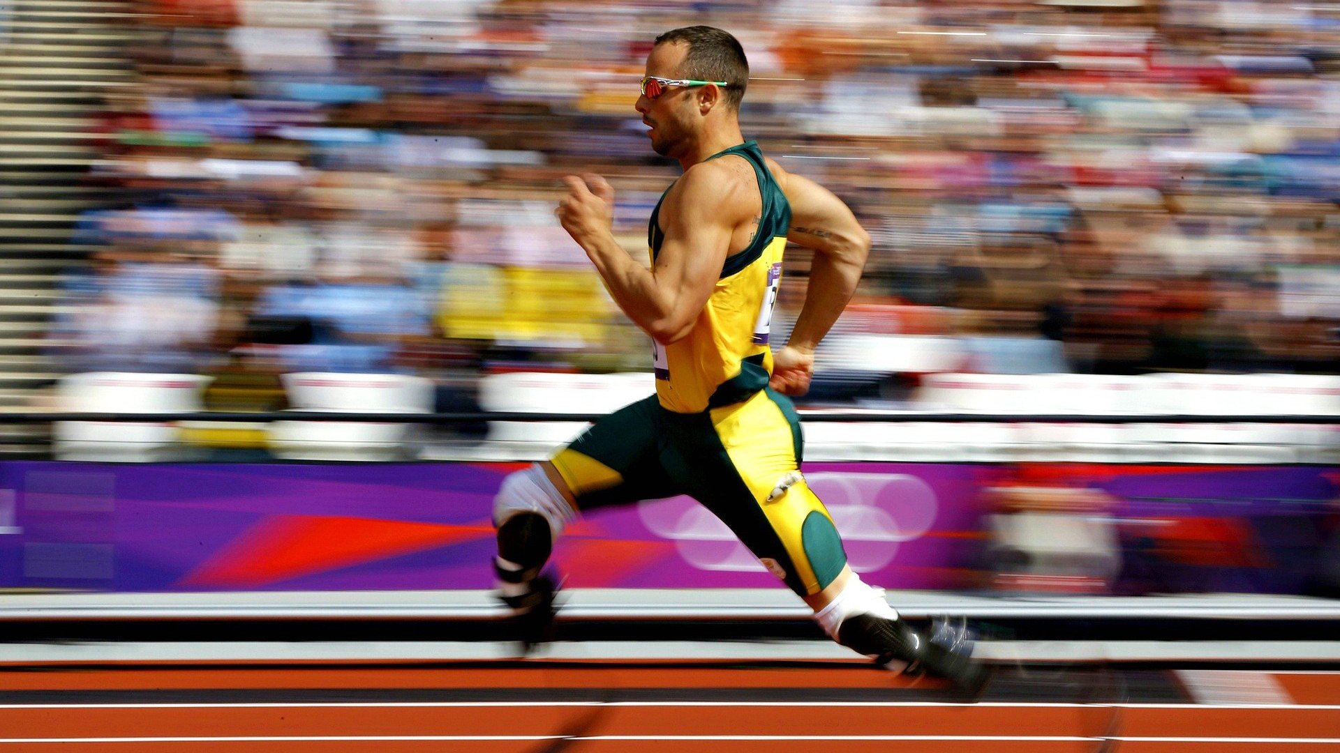 赛事统计数据深度挖掘：行业成长动态一览无遗，赛事发展